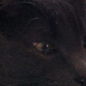 Meet your Posher, Liam